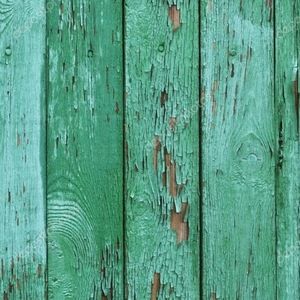 Meet your Posher, Caitlyn